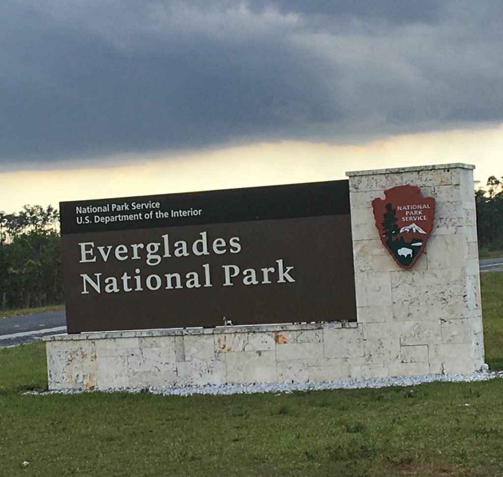 Vacances en Floride - Everglades