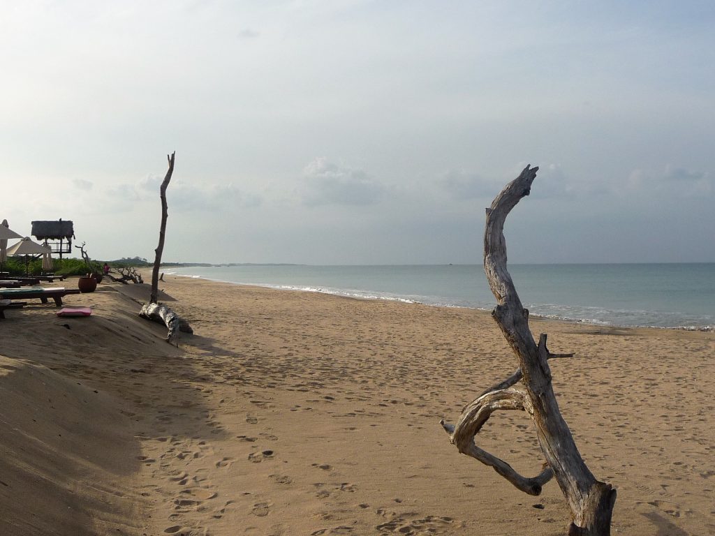sri-lanka-hotel-jungle-beach