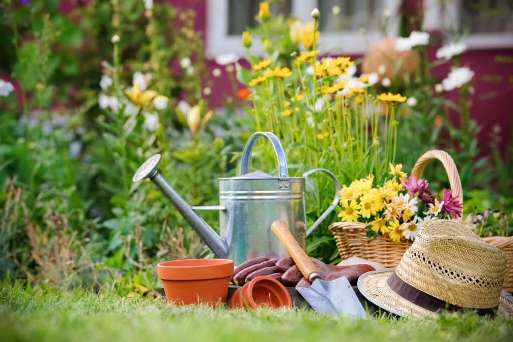 jardin joli et facile à entretenir