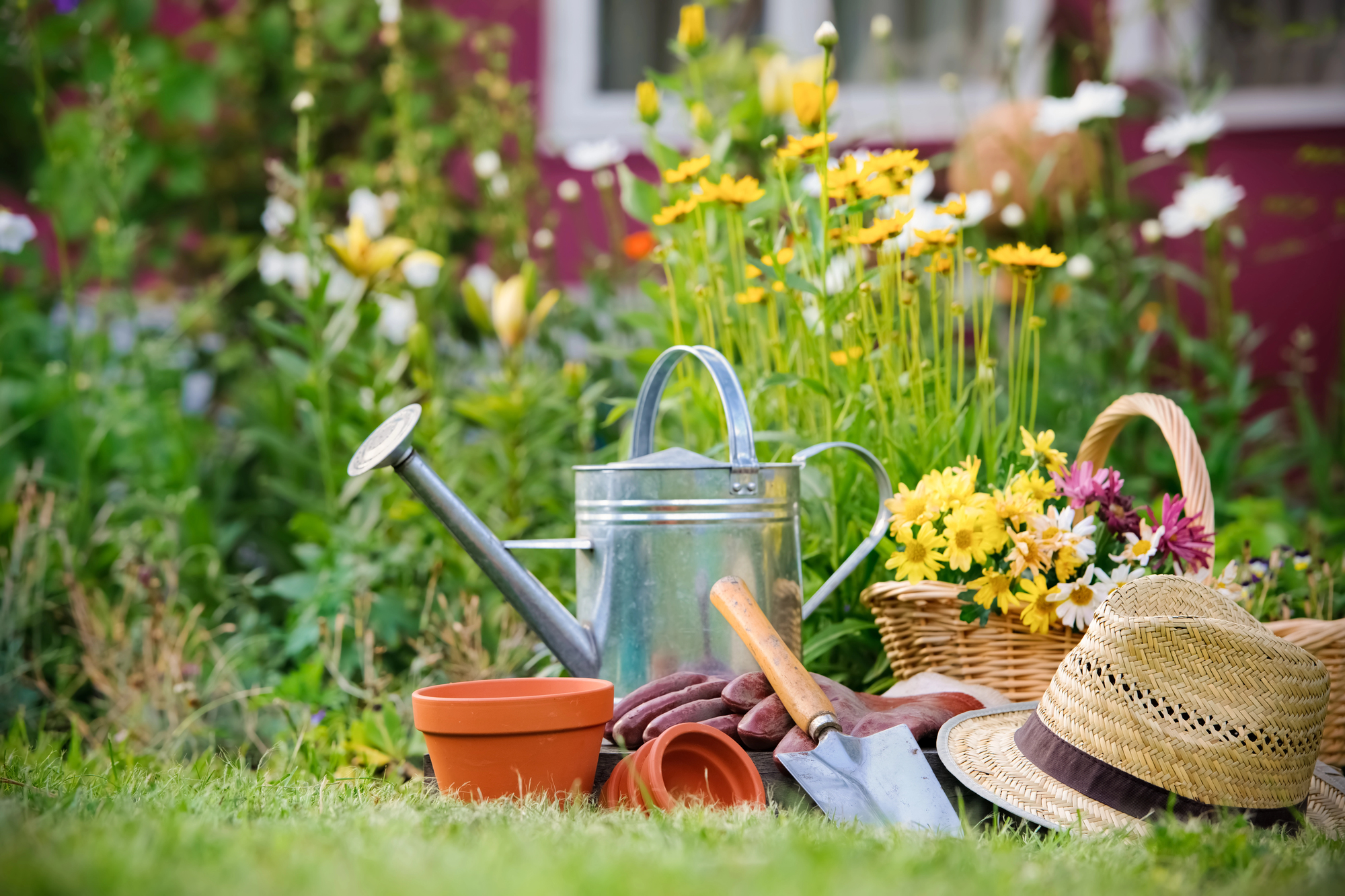 jardin joli et facile à entretenir