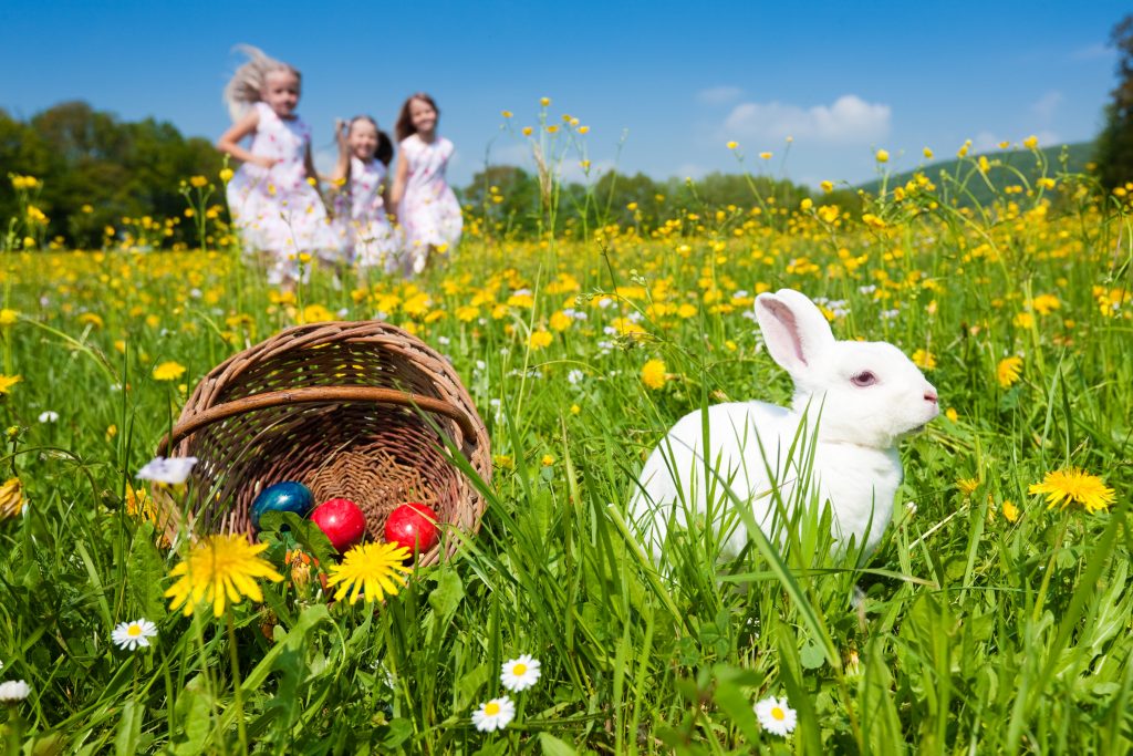 Où faire la chasse aux oeufs de Pâques en France ?